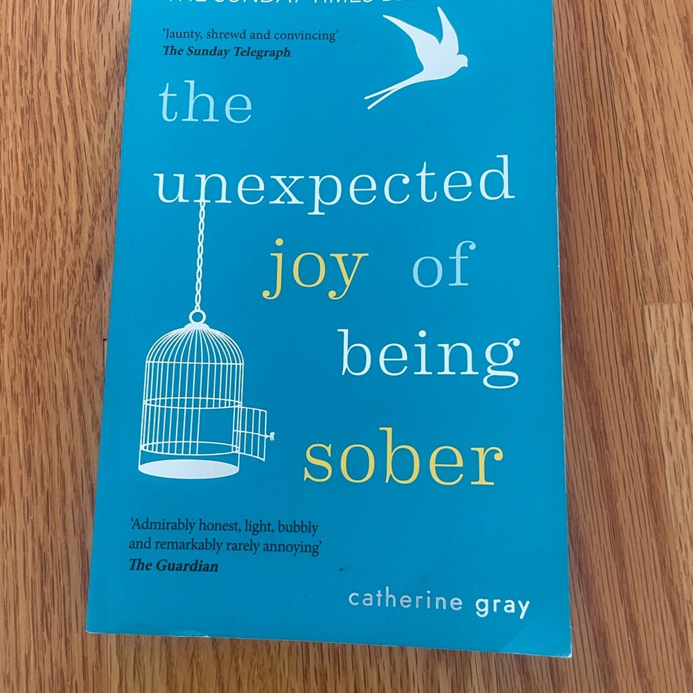 Blue Book - The Unexpected Joy of Being Sober